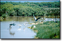 Vacances Le Teich